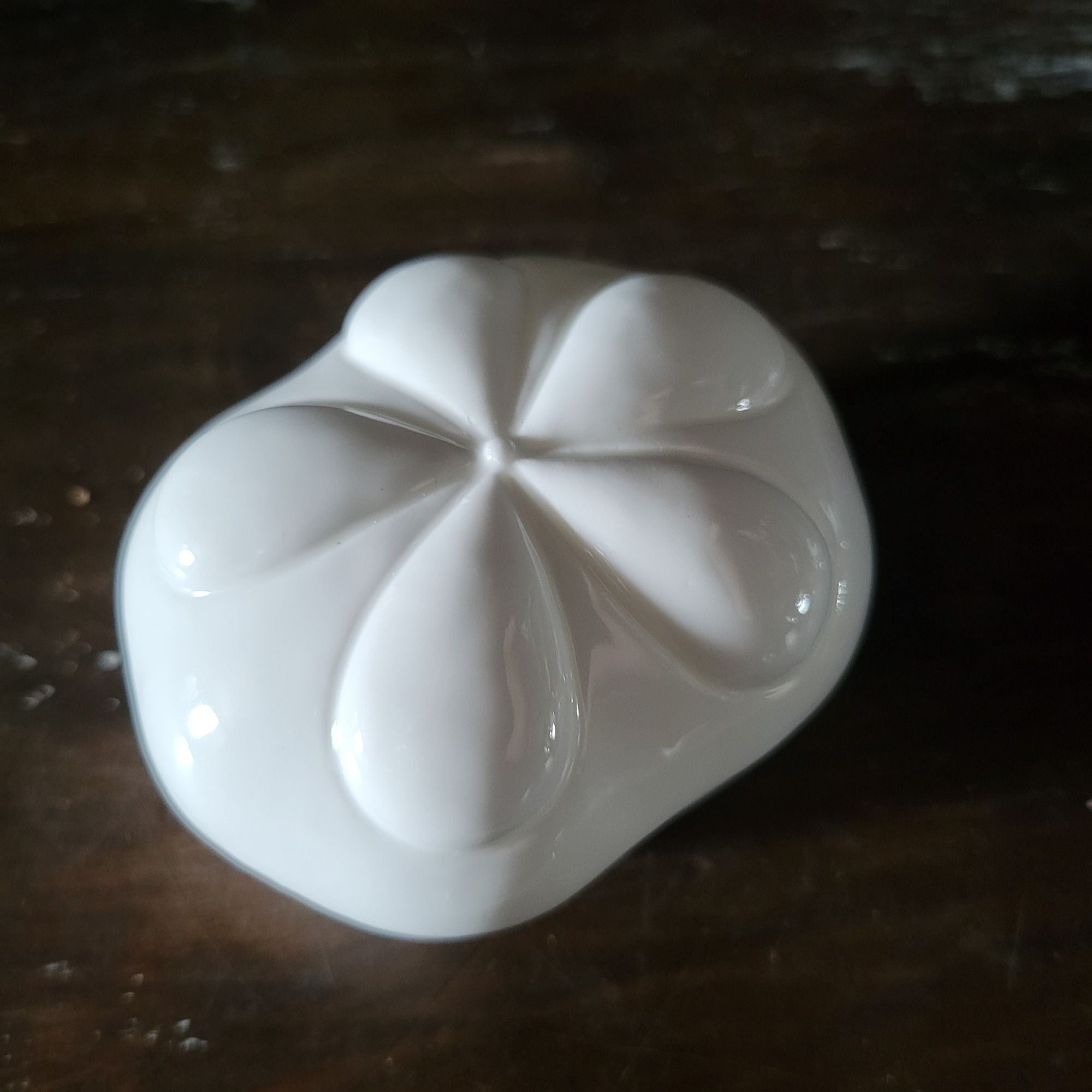 Vintage The Beachcombers Sand Dollar Trinket Box Bone China Round Keepsake White