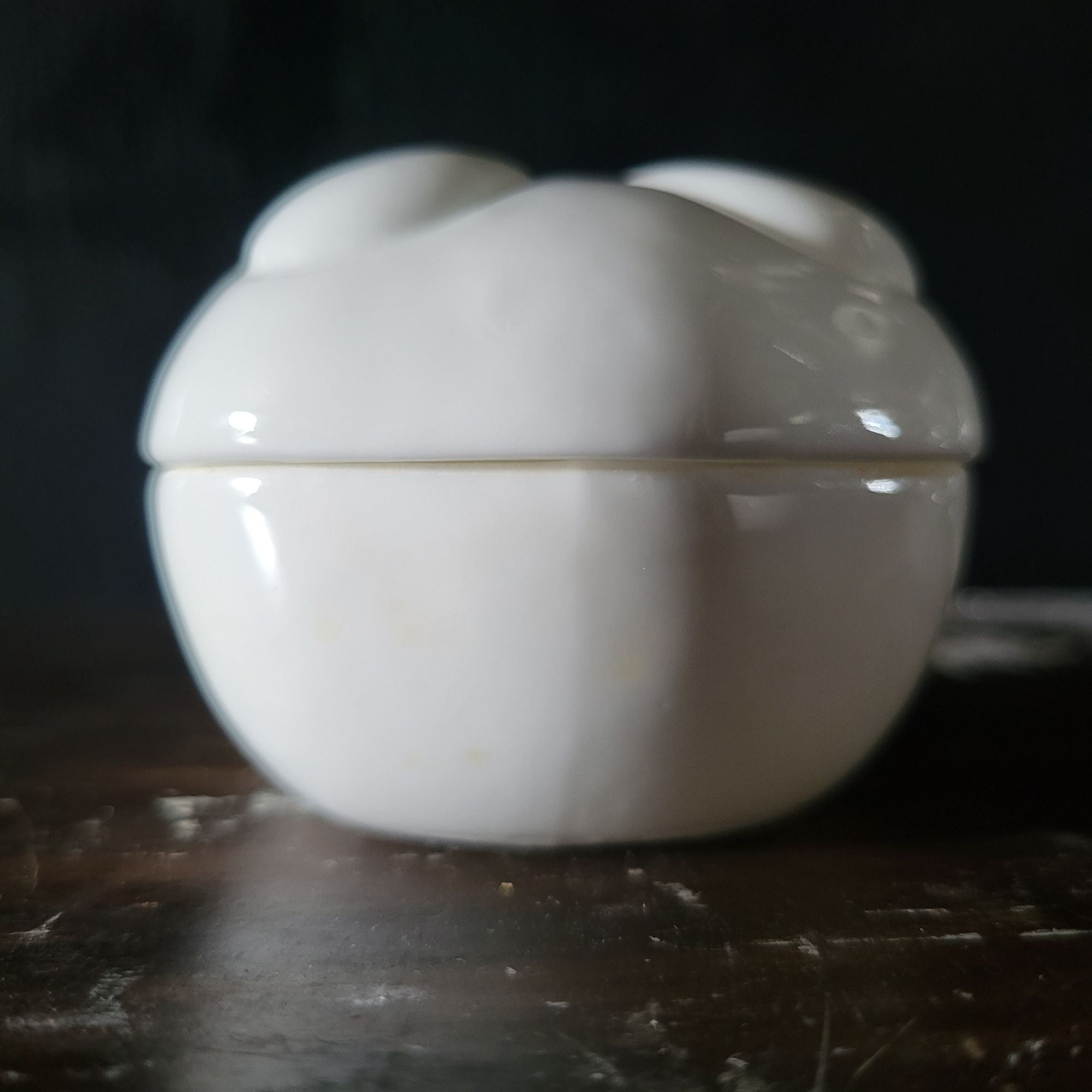 Vintage The Beachcombers Sand Dollar Trinket Box Bone China Round Keepsake White