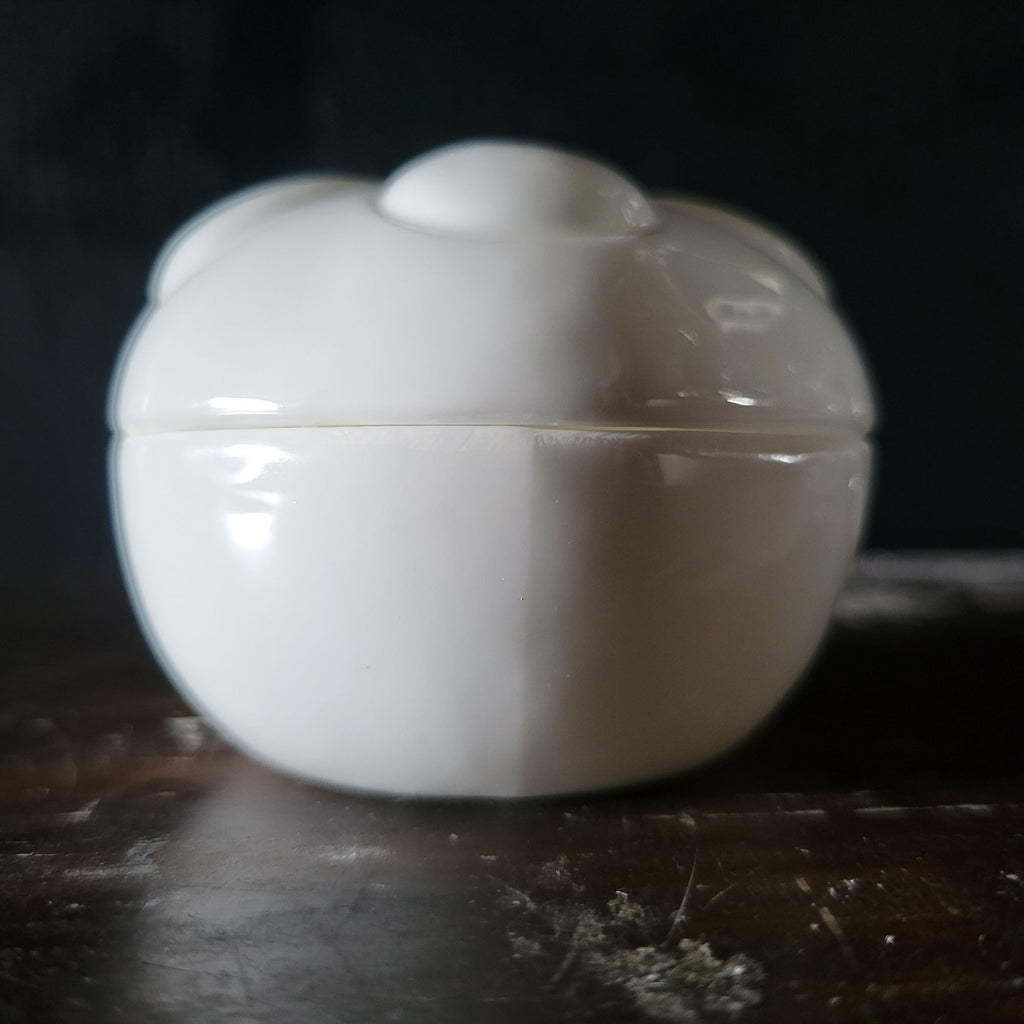 Vintage The Beachcombers Sand Dollar Trinket Box Bone China Round Keepsake White