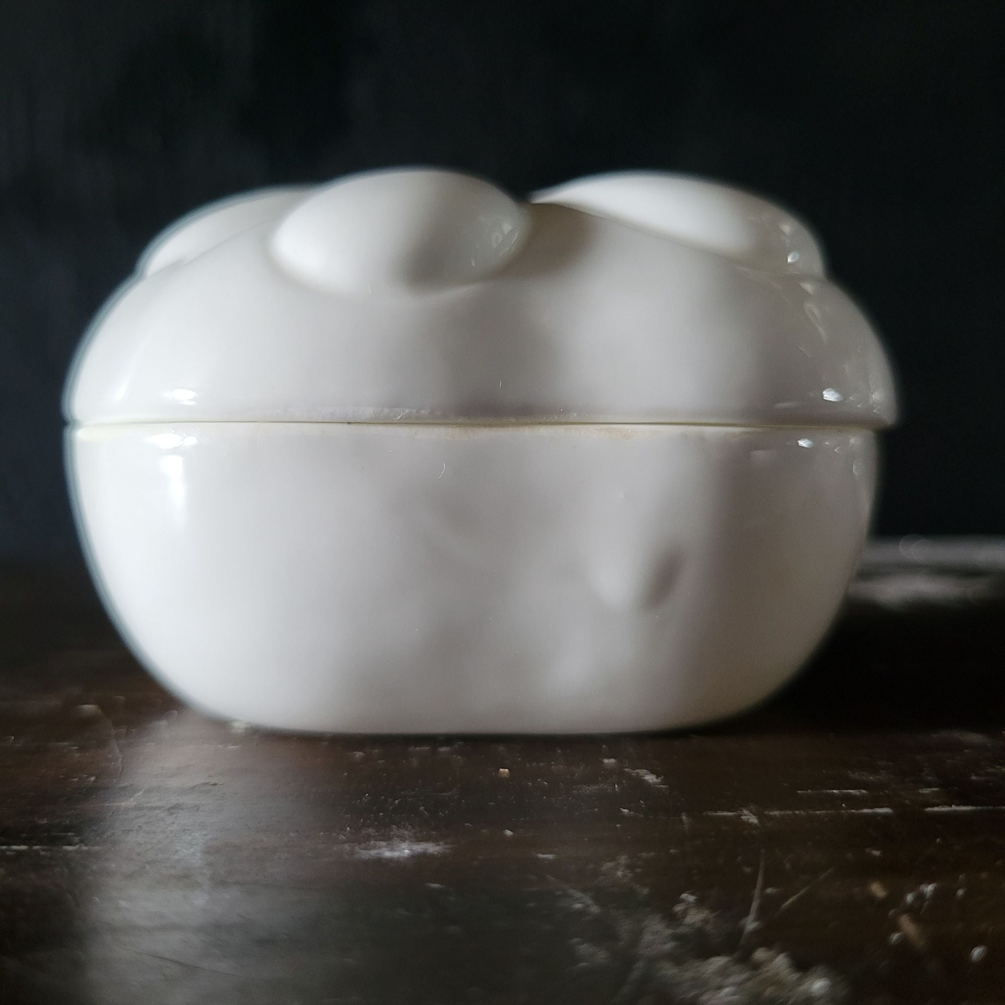 Vintage The Beachcombers Sand Dollar Trinket Box Bone China Round Keepsake White