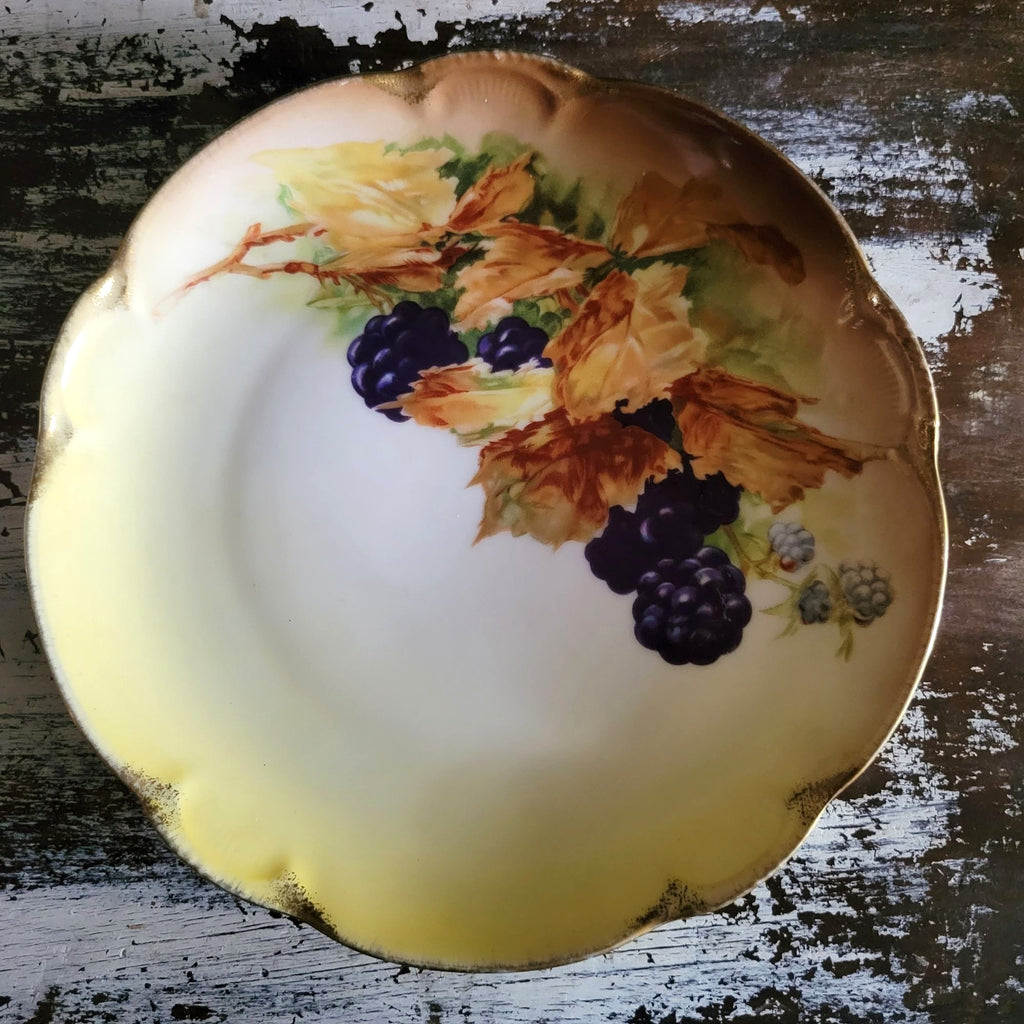 Antique JHR Charlotte Bavaria Hand Painted Blackberry Plate Plate Wall