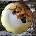 Antique JHR Charlotte Bavaria Hand Painted Blackberry Plate Plate Wall