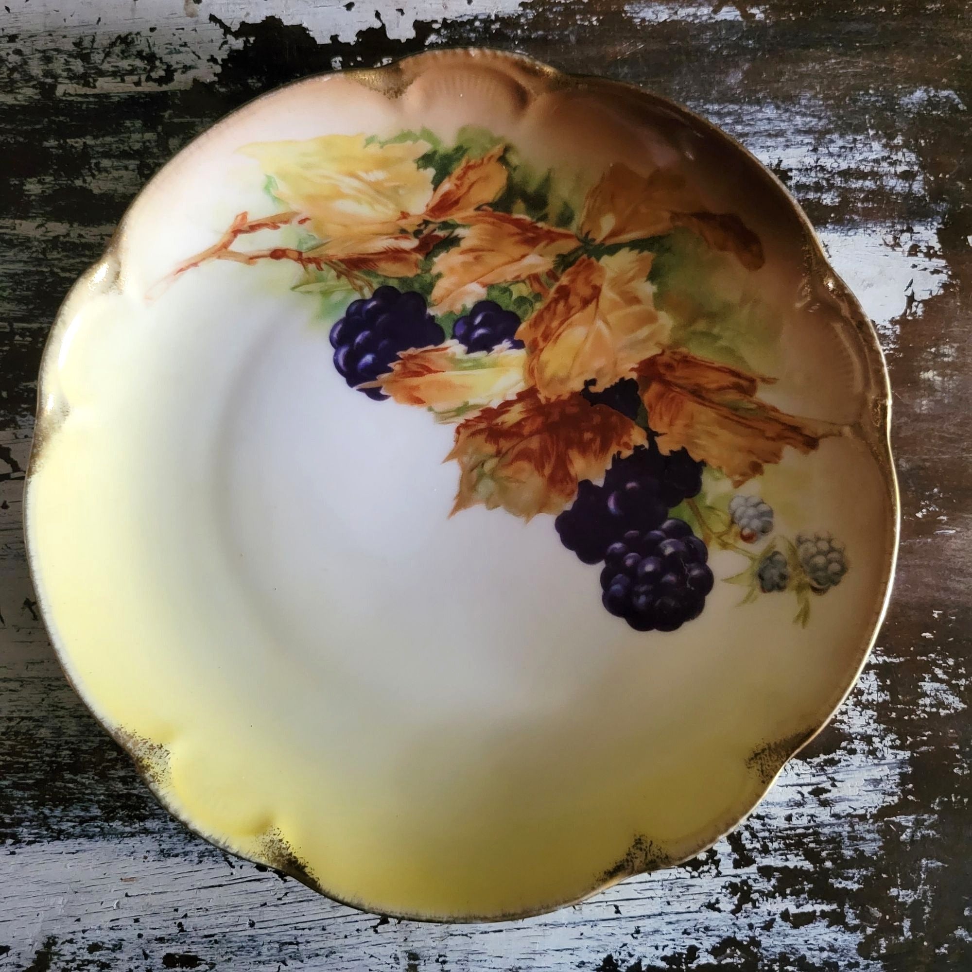Antique JHR Charlotte Bavaria Hand Painted Blackberry Plate Plate Wall