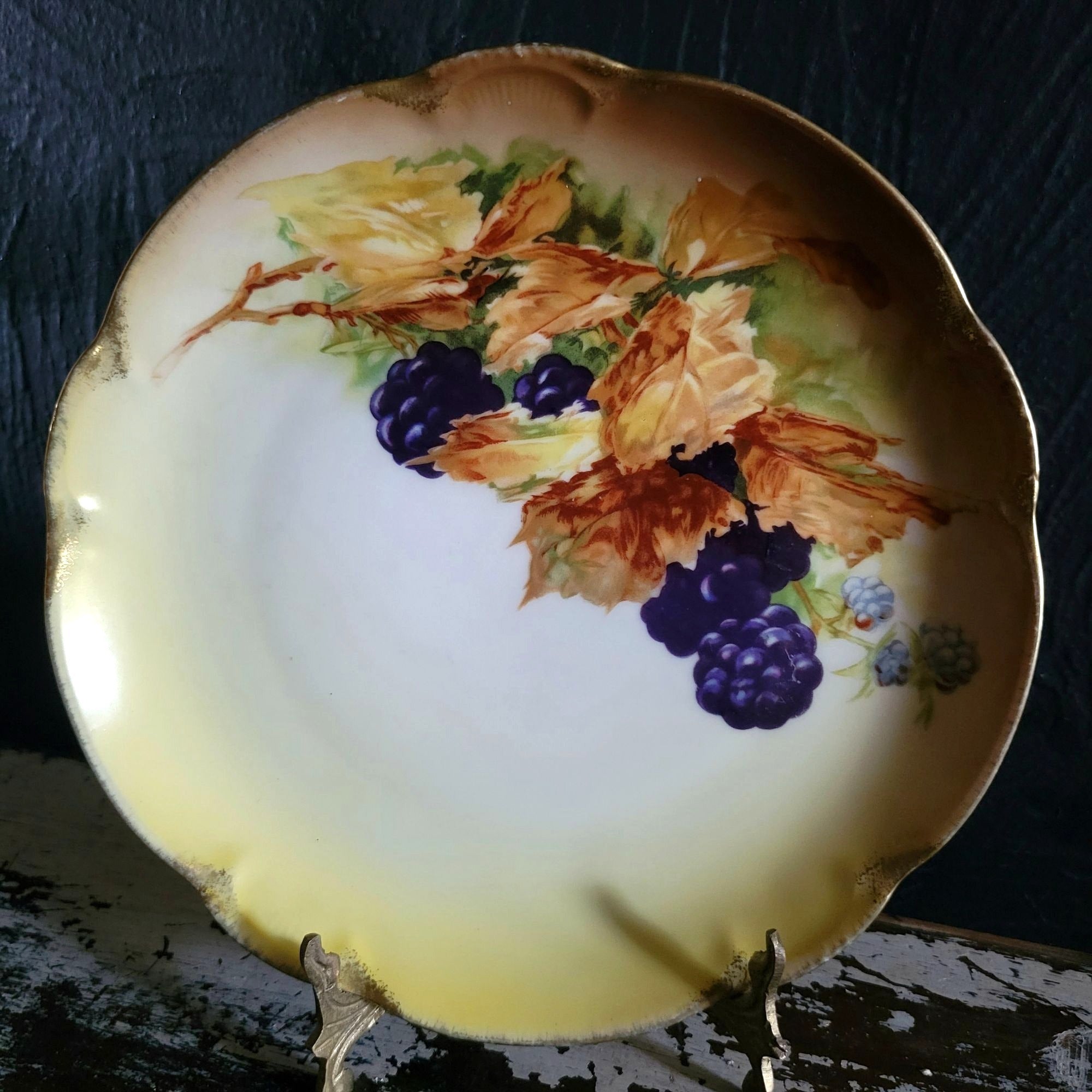 Antique JHR Charlotte Bavaria Hand Painted Blackberry Plate Plate Wall