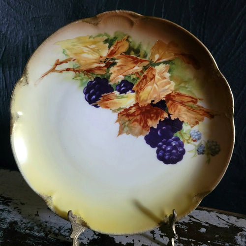 Antique JHR Charlotte Bavaria Hand Painted Blackberry Plate Plate Wall