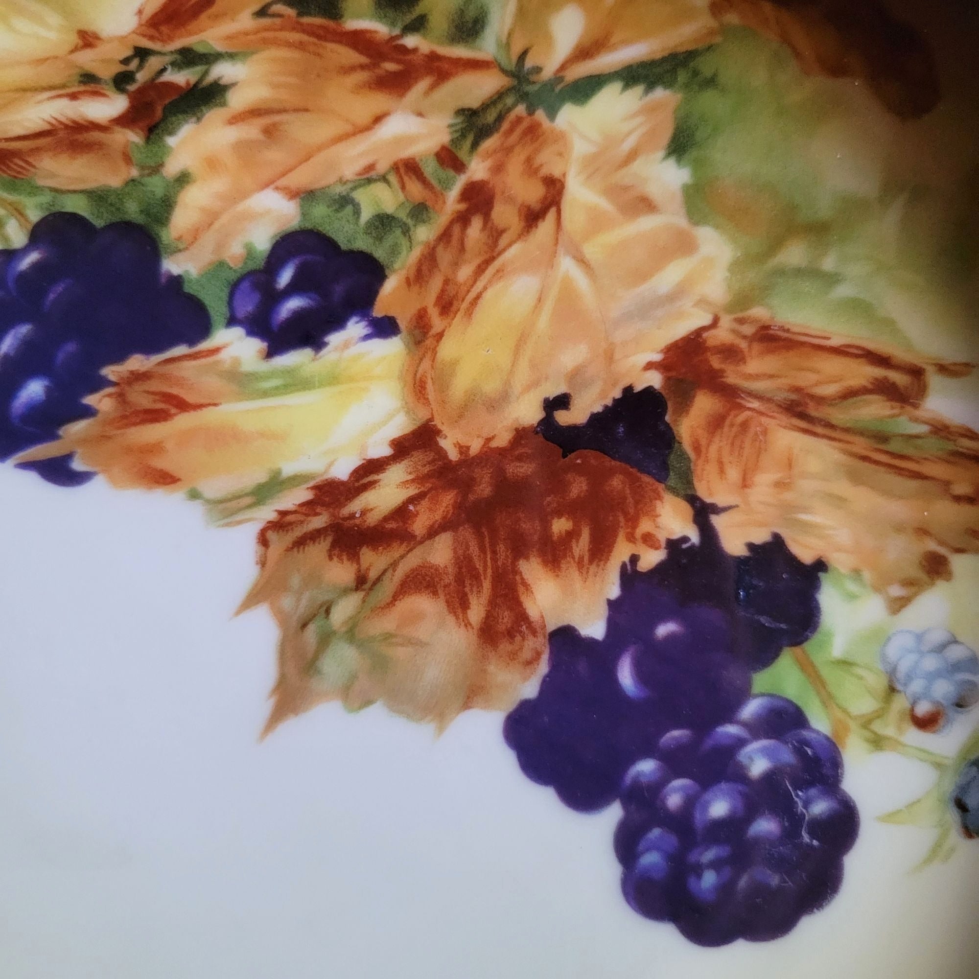 Antique JHR Charlotte Bavaria Hand Painted Blackberry Plate Plate Wall