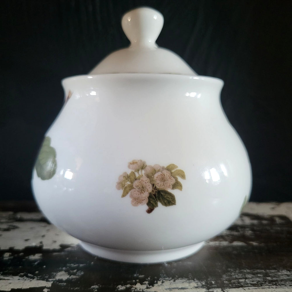 Vtg Queens Royal Horticultural Society Hookers Fruit Sugar Bowl With Plum Design