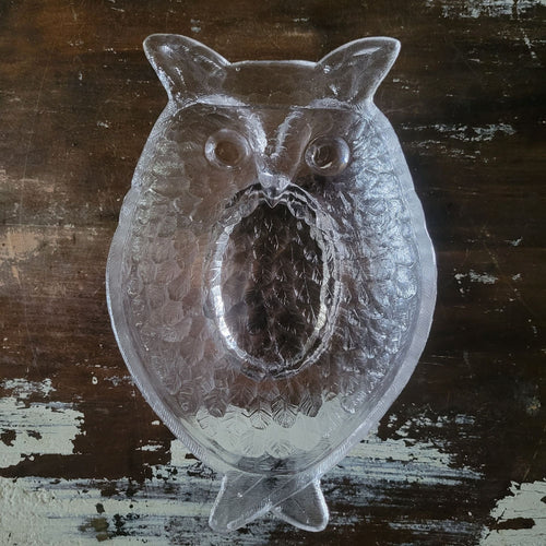 Antique 1880s EAPG Central Glass Co. Owl Pickle Dish Clear Glass