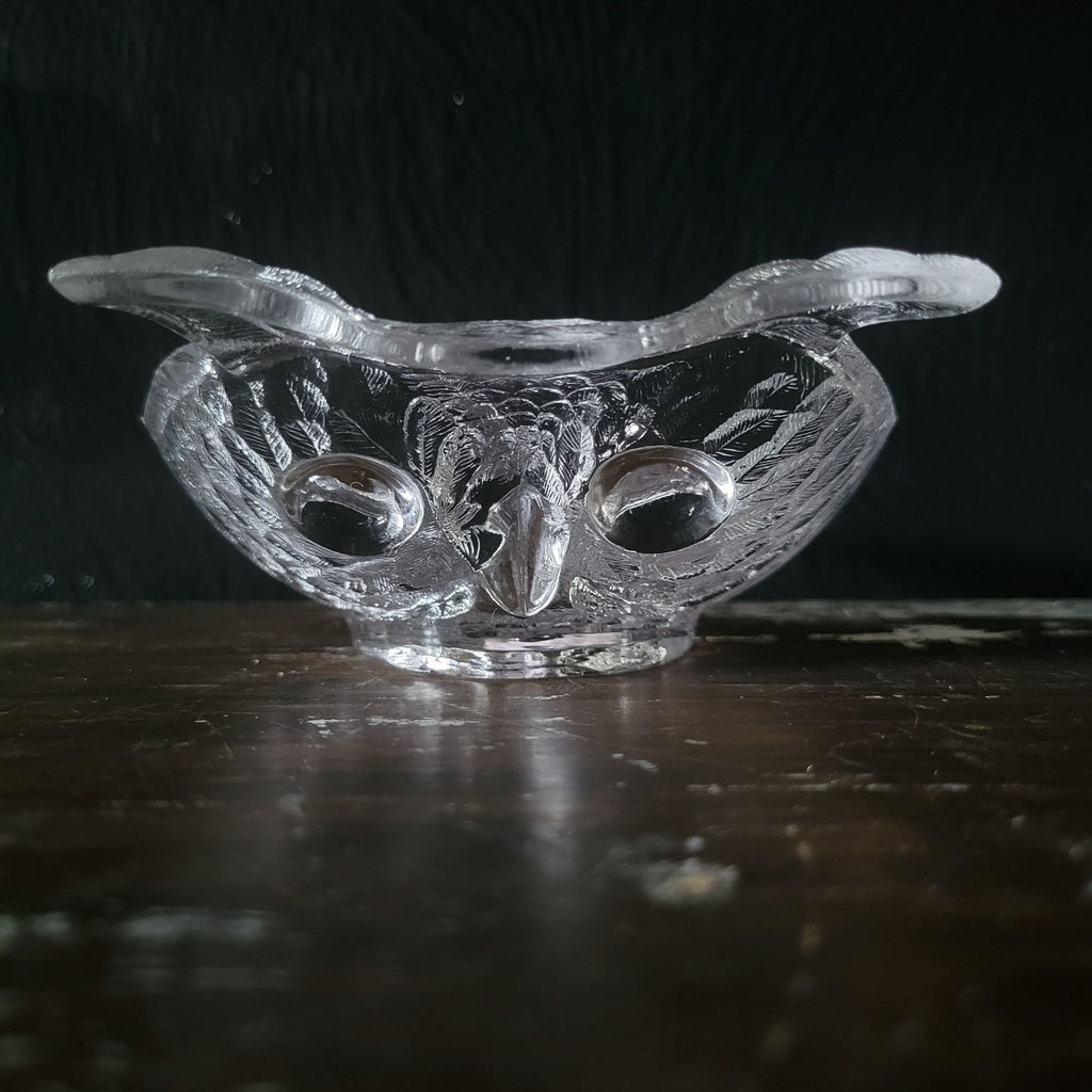 Antique 1880s EAPG Central Glass Co. Owl Pickle Dish Clear Glass
