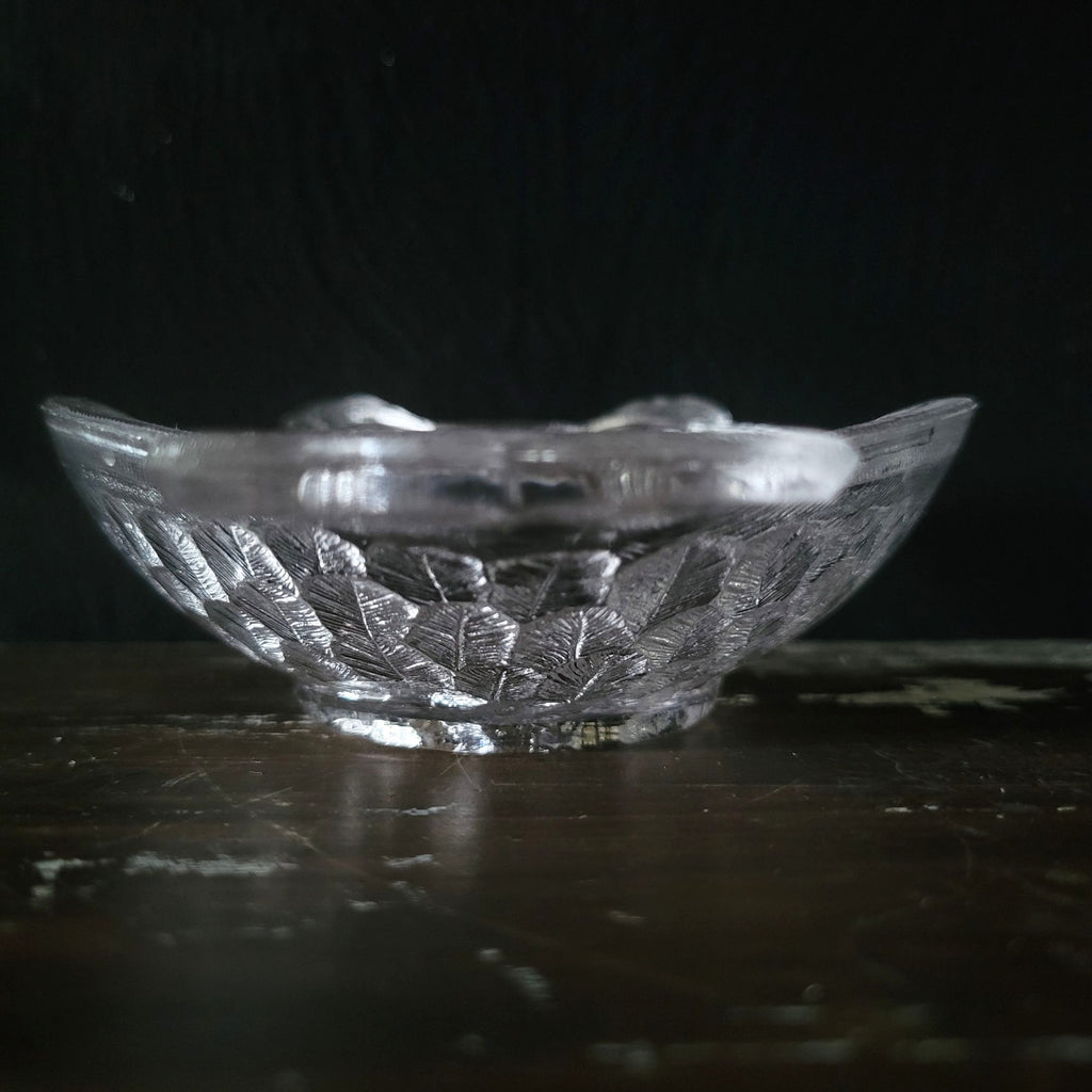 Antique 1880s EAPG Central Glass Co. Owl Pickle Dish Clear Glass