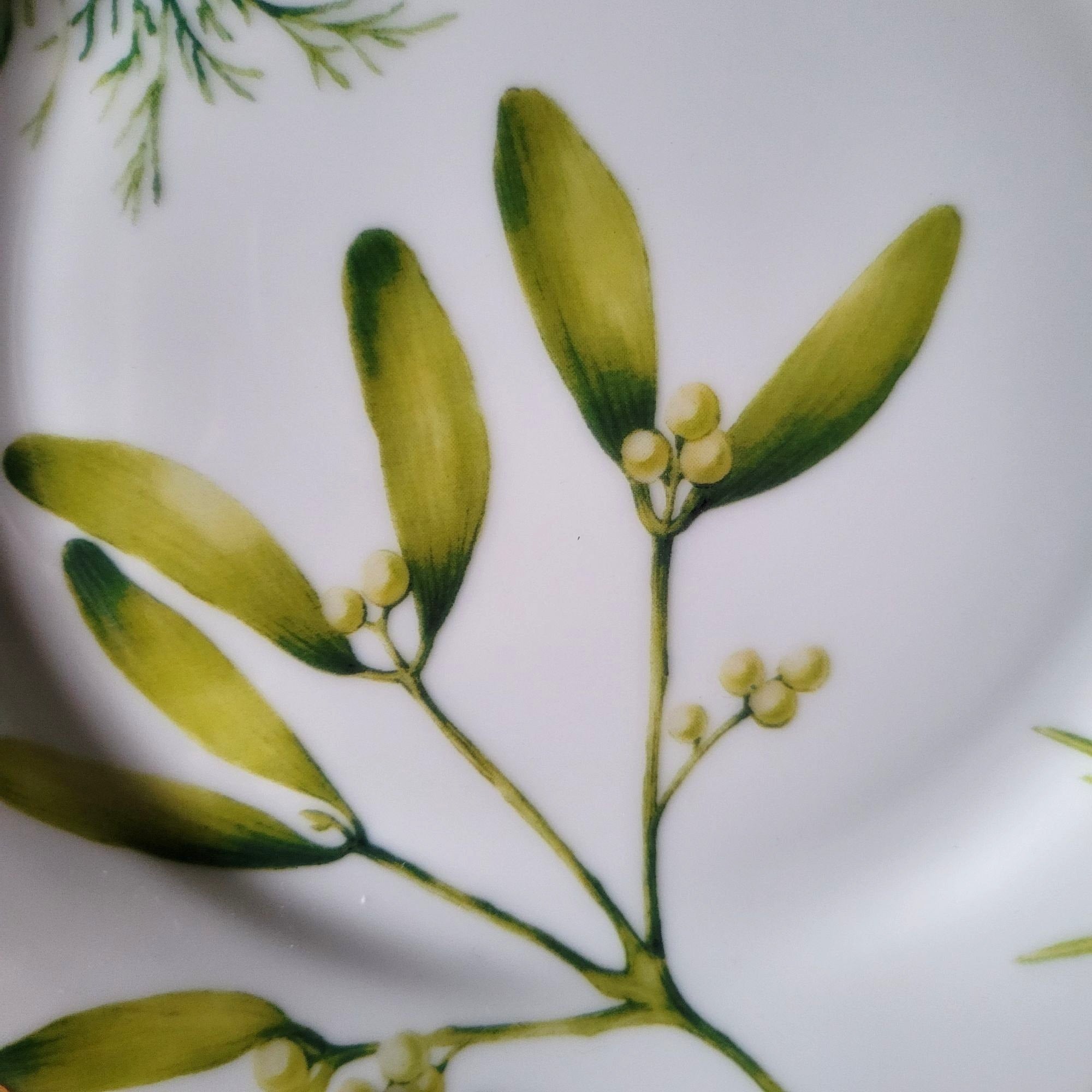 Charter Club Fashion Buffet Christmas Salad Plate Holly and Mistletoe 9.375"