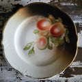 Antique German Porcelain Plate With Hand-Painted Fruit Design Plate Wall