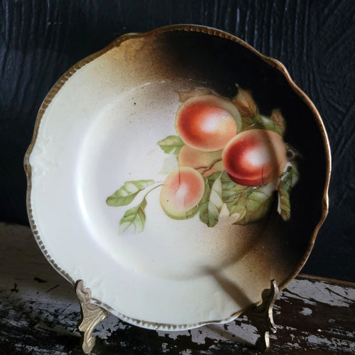 Antique German Porcelain Plate With Hand-Painted Fruit Design Plate Wall
