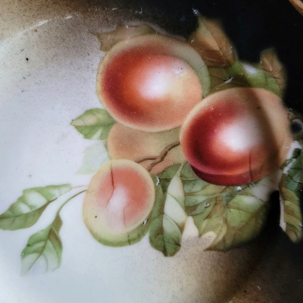 Antique German Porcelain Plate With Hand-Painted Fruit Design Plate Wall