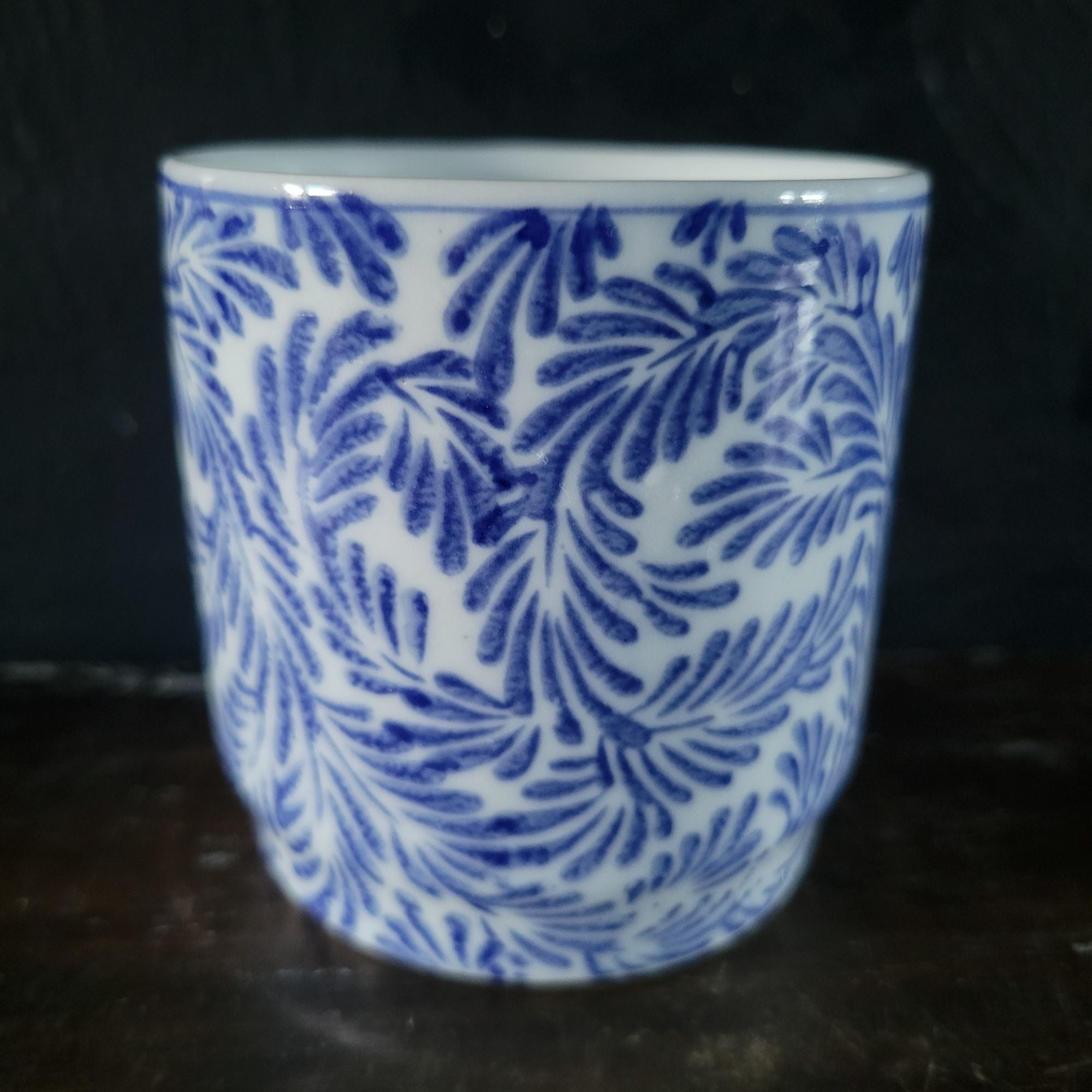 Pier 1 Imports Mug Blue and White Fern Porcelain Coffee Cup Tea Cup Discontinued