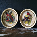 Pair of Vintage Framed Red Birds Prints, Vintage Gallery Wall Art, Animal Prints