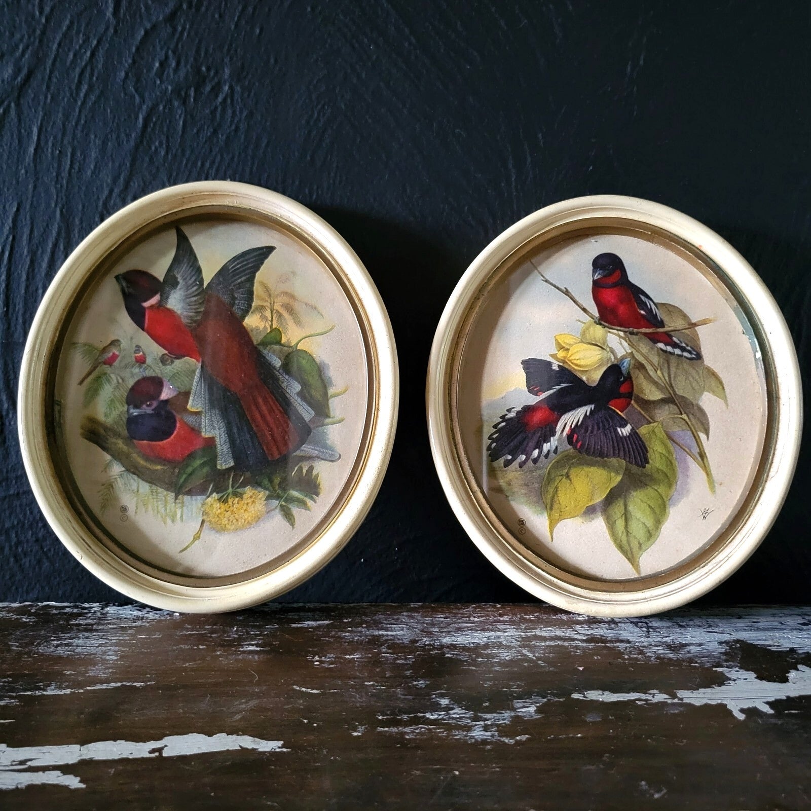 Pair of Vintage Framed Red Birds Prints, Vintage Gallery Wall Art, Animal Prints