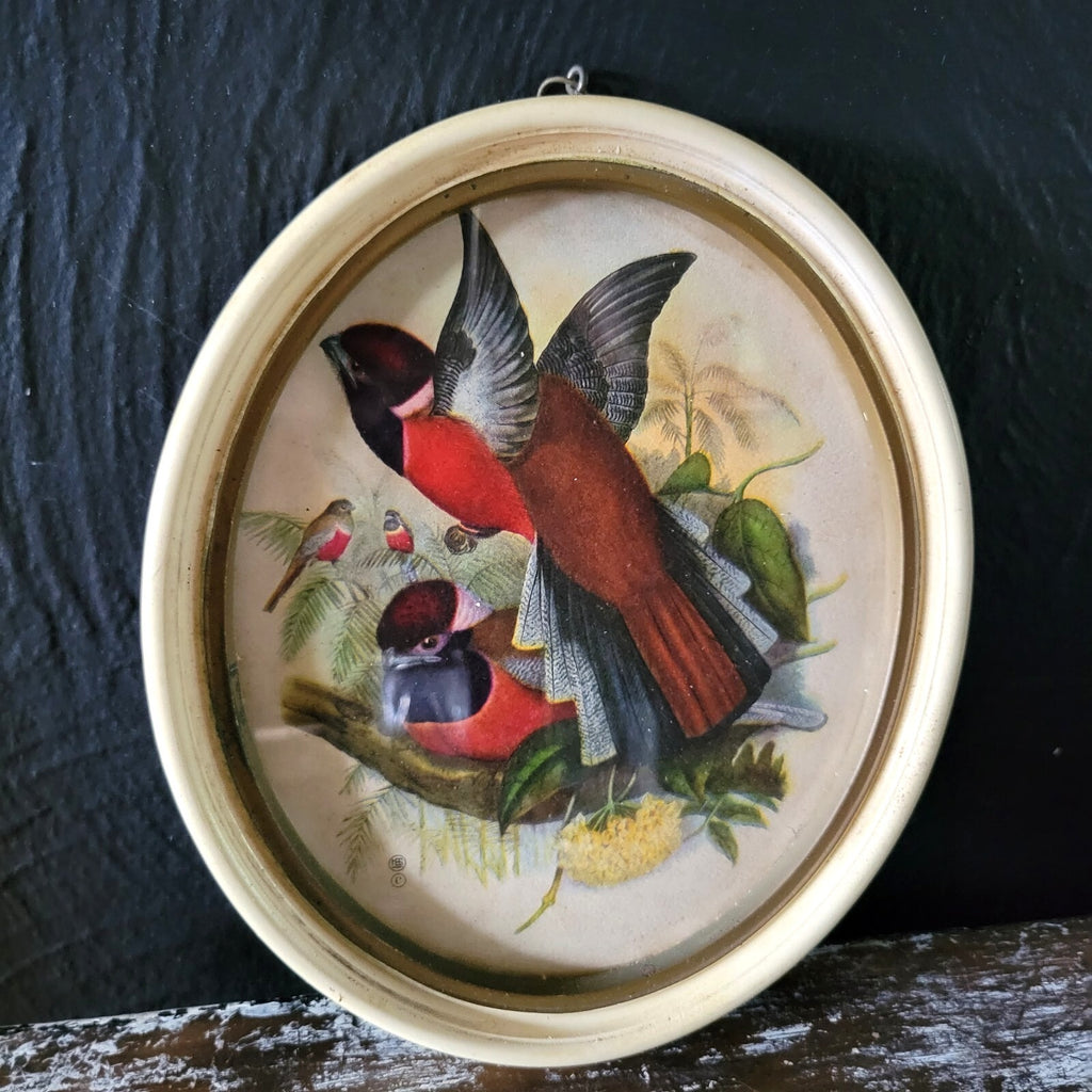 Pair of Vintage Framed Red Birds Prints, Vintage Gallery Wall Art, Animal Prints