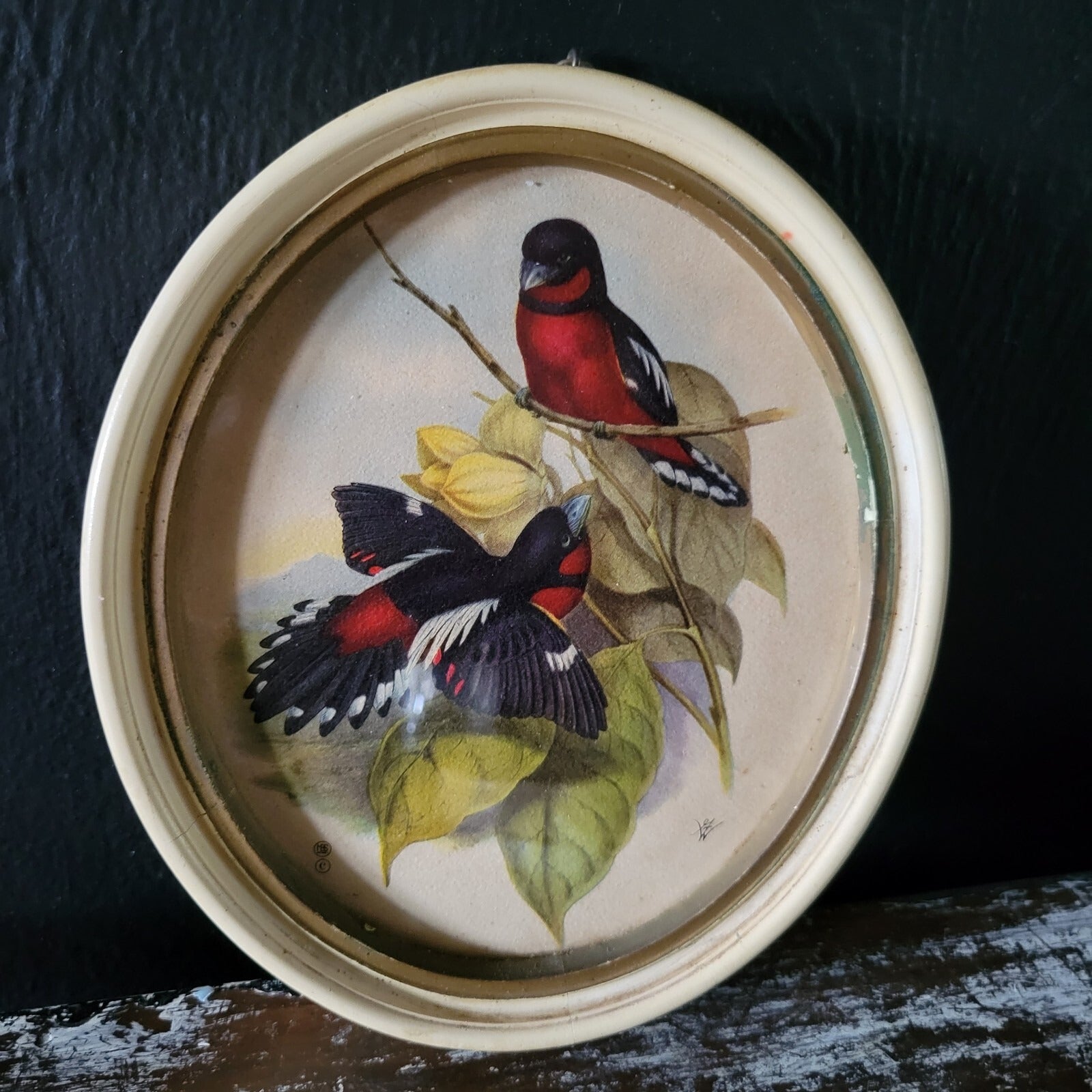 Pair of Vintage Framed Red Birds Prints, Vintage Gallery Wall Art, Animal Prints