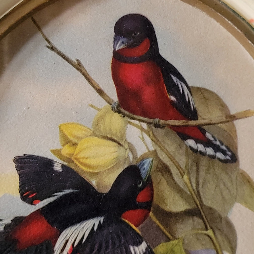 Pair of Vintage Framed Red Birds Prints, Vintage Gallery Wall Art, Animal Prints