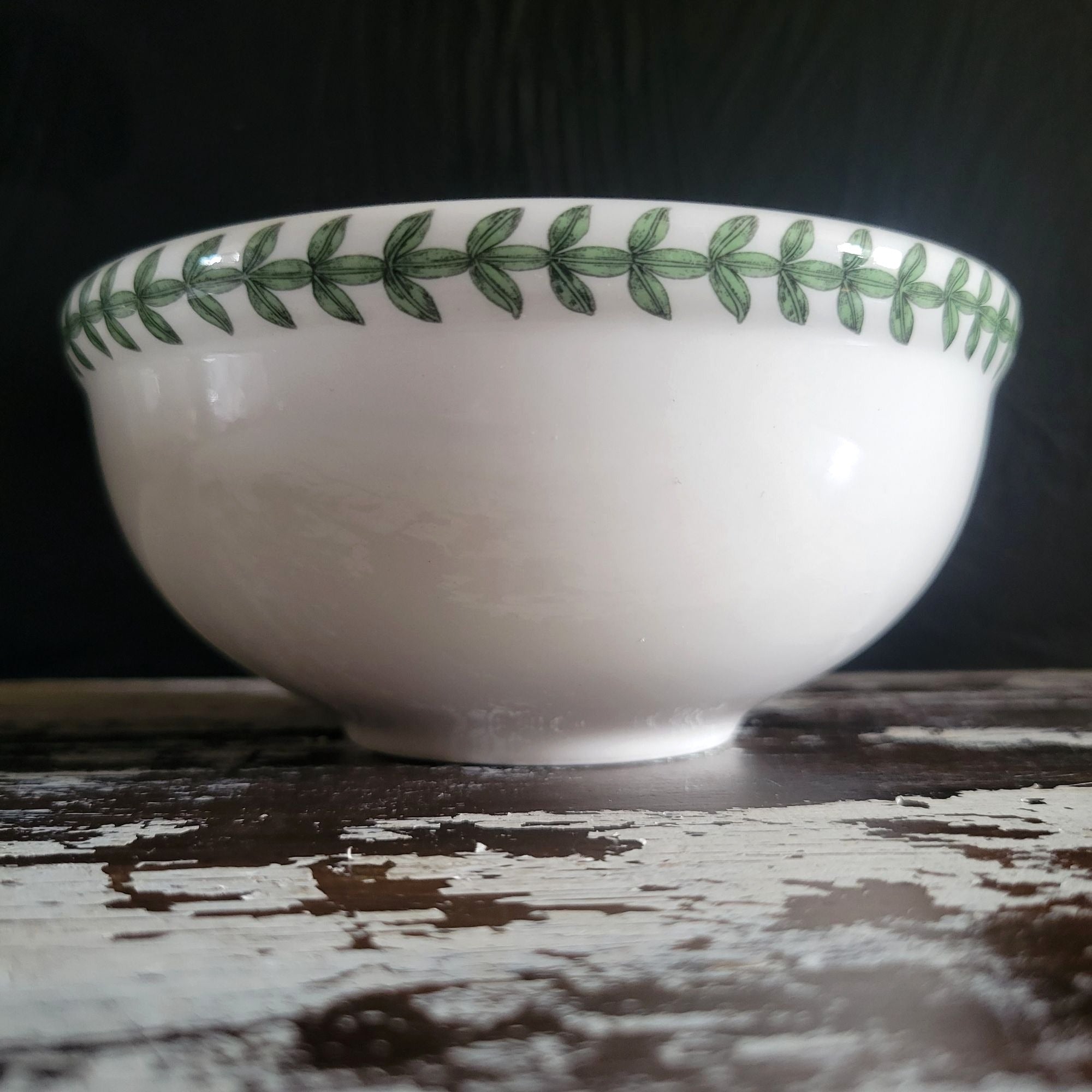 Portmeirion Botanic Garden Mistletoe Individual Salad Dessert Bowl 5.5"
