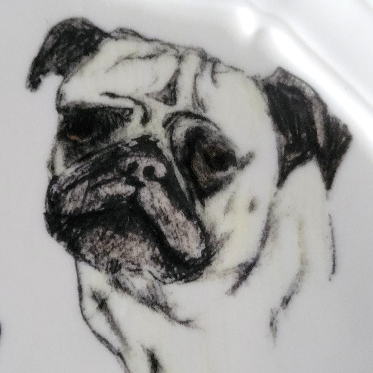 Anthropologie Linea Carta “Dd Delightful” 6.375" Pug Dog Plate By Diva Pyari