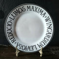 Pottery Barn Harry Potter Incantation Tid Bit Plate Salad Plate