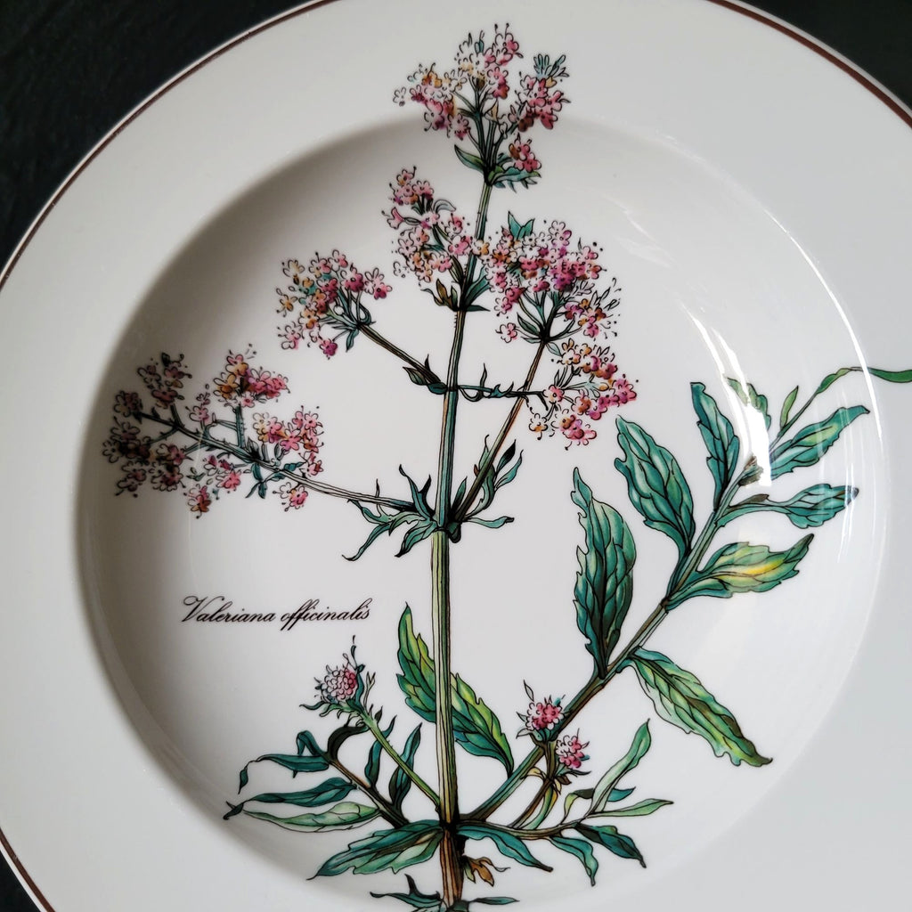 Vintage Villeroy and Boch Botanica Valeriana Officinalis Rimmed Soup Bowl