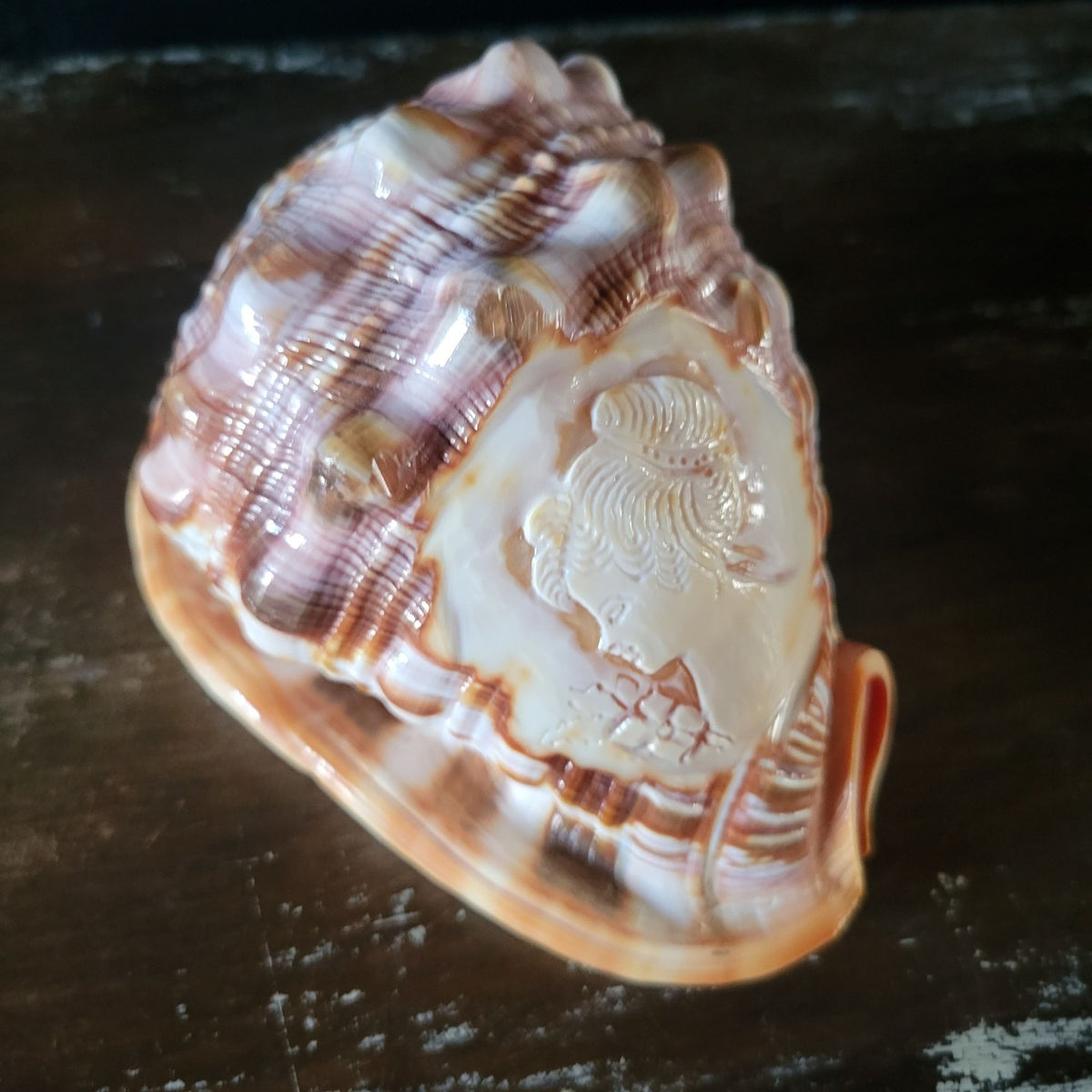 Vintage Italian Hand-Carved Cameo Seashell 5.5"