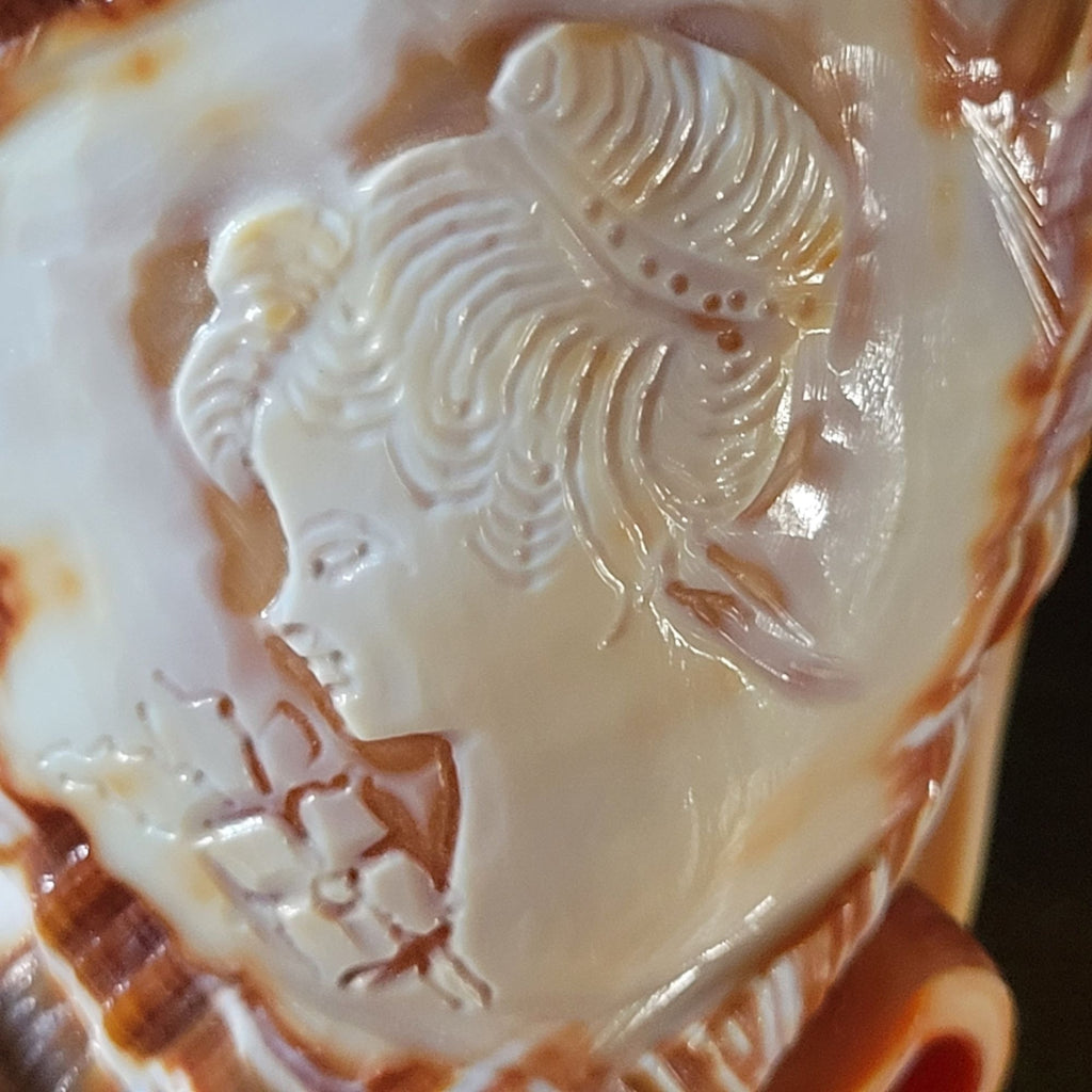 Vintage Italian Hand-Carved Cameo Seashell 5.5"