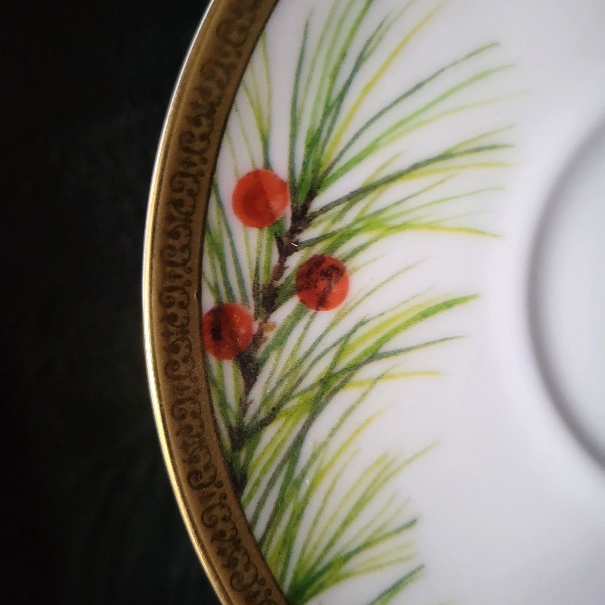 Charter Club Fashion Buffet Holly and Pine Flat Cup & Saucer Set Christmas China
