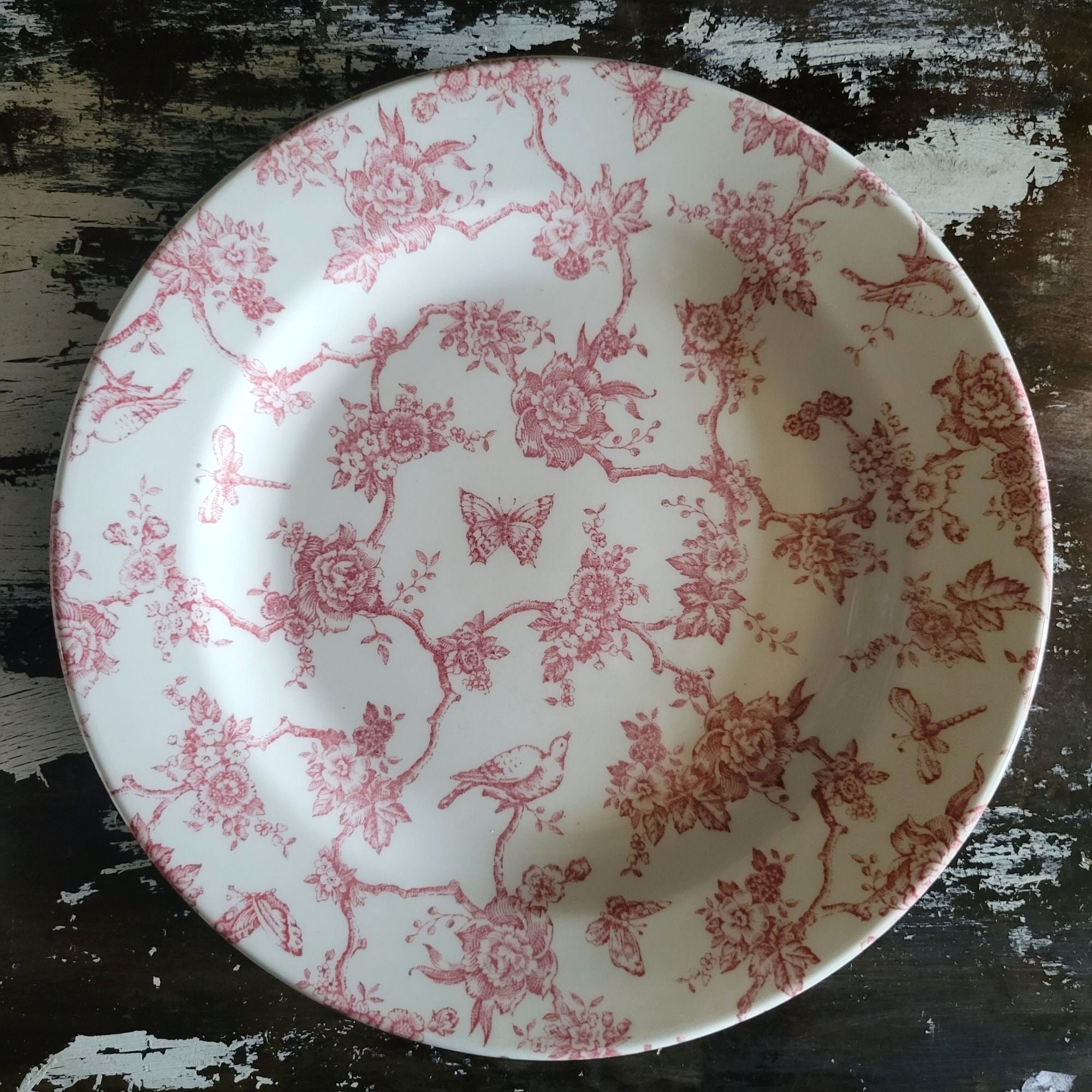 Queens Churchill Pink & White "Toile De Jouy" Dinner Plate Floral Bird Butterfly