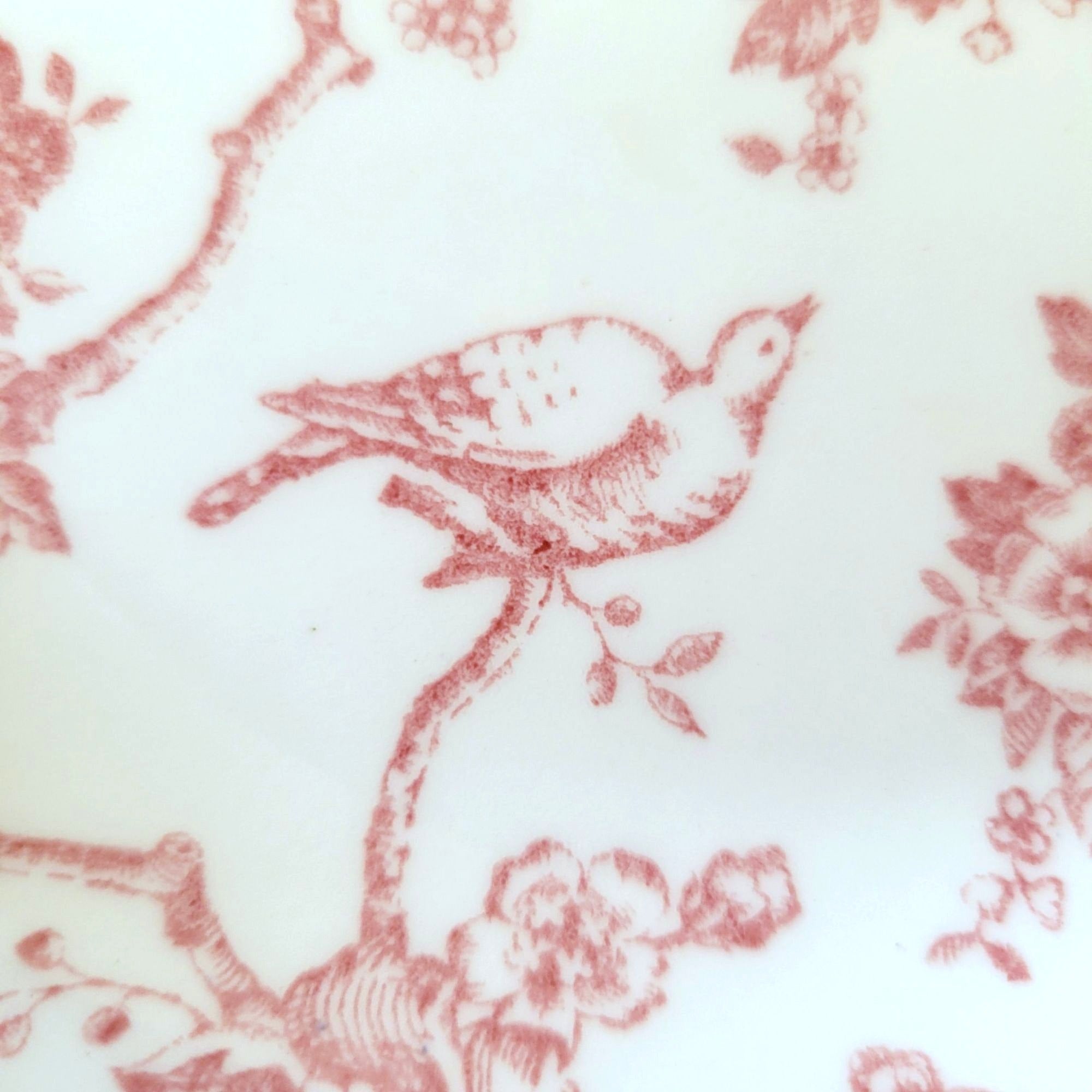 Queens Churchill Pink & White "Toile De Jouy" Dinner Plate Floral Bird Butterfly