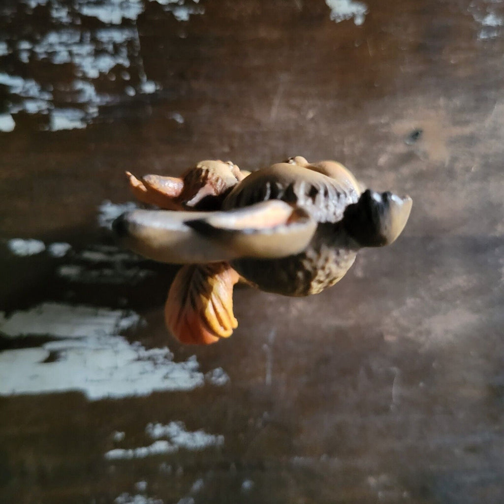 Vintage Greetings ANRI Ferrandiz Wood Carved Figurine - Rabbit & Squirrel Waving  M