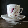 Antique Mustache Cup and Saucer "Remember Me" Flowers, Germany Mustache Mug