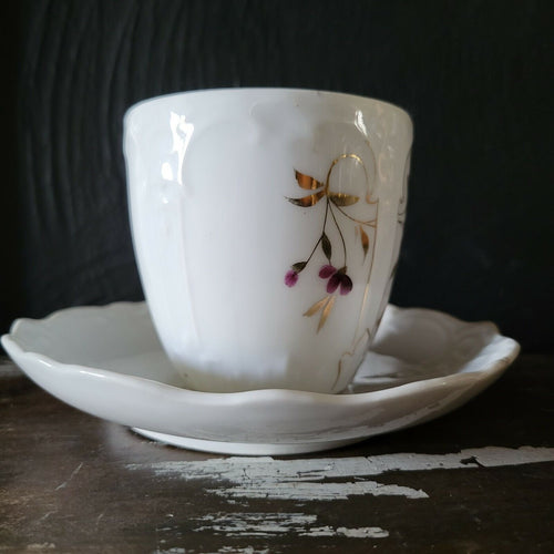 Antique Mustache Cup and Saucer "Remember Me" Flowers, Germany Mustache Mug