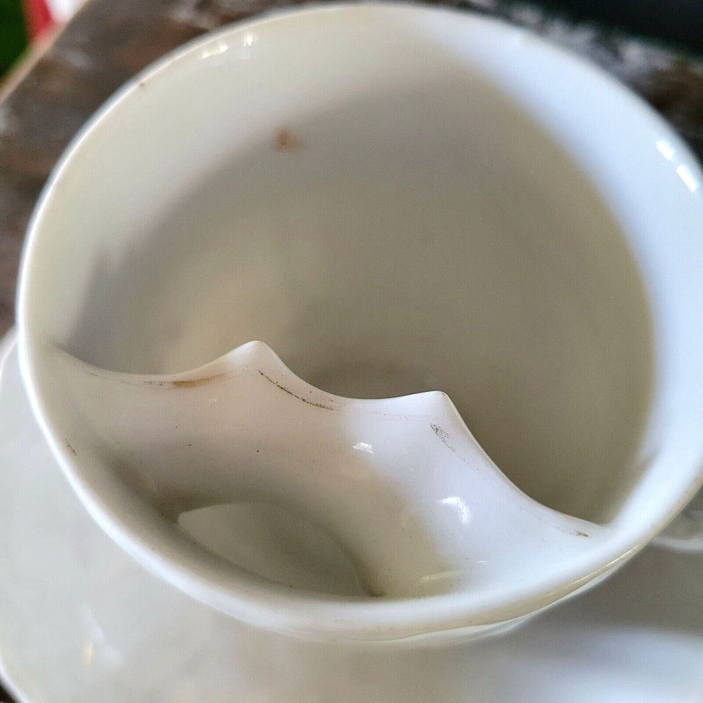 Antique Mustache Cup and Saucer "Remember Me" Flowers, Germany Mustache Mug