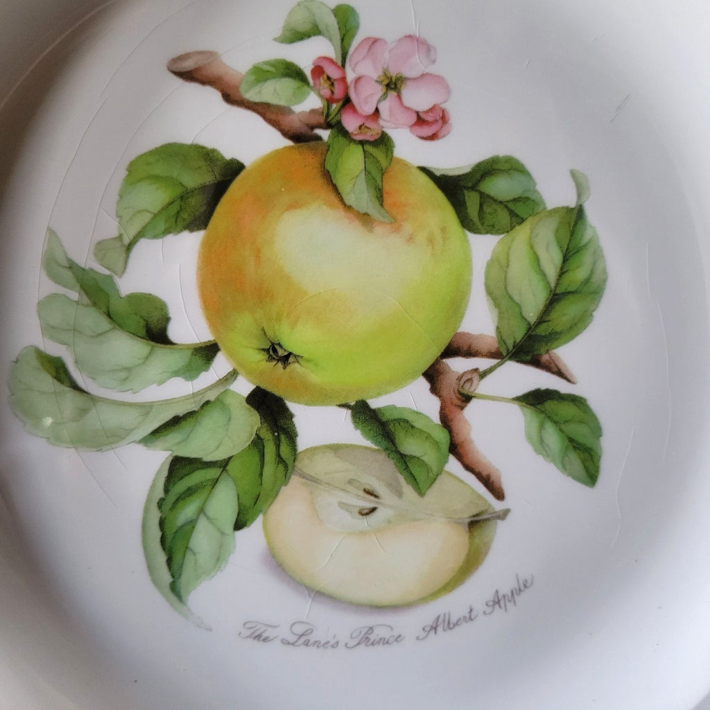 Portmeirion Apple Harvest Salad Plate 8.5" Botanical Plate Wall English *Read